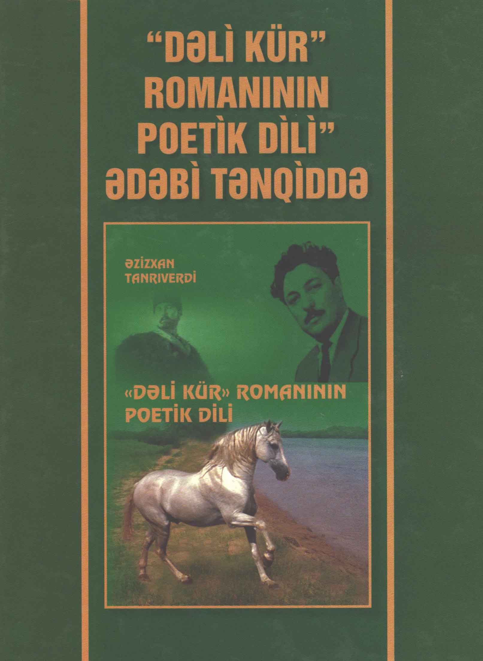 Dəli Kür romanının poetik dili (ədəbi tənqiddə)