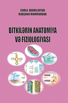 Bitkilərin anatomiya və fiziologiyası