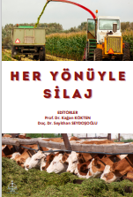HER YÖNÜYLE SİLAJ