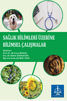 SAĞLIK BİLİMLERİ ÜZERİNE BİLİMSEL  ÇALIŞMALAR