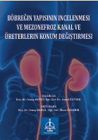 BÖBREĞIN YAPISININ INCELENMESI VE  MEZONEFROZ KANAL VE ÜRETERLERIN  KONUM DEĞIŞTIRMESI