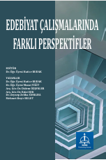 EDEBİYAT ÇALIŞMALARINDA  FARKLI PERSPEKTİFLER
