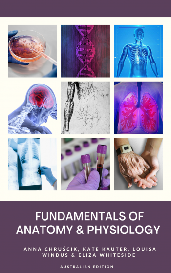 Fundamentals of Anatomy and Physiology