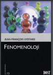 Fenomenoloji