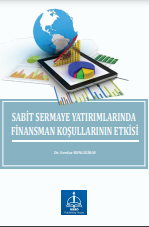 SABİT SERMAYE YATIRIMLARINDA FİNANSMAN KOŞULLARININ ETKİSİ