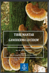 TIBBİ MANTAR - GANODERMA LUCIDUM