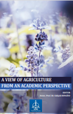 A VIEW OF AGRICULTURE FROM AN ACADEMIC  PERSPECTIVE