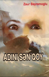 ADINI SƏN QOY