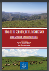 BİNGÖL İLİ SÜRDÜRÜLEBİLİR KALKINMA