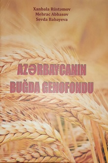 Azərbaycanın buğda genofondu