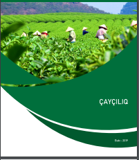 Çayçılıq