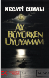 Ay büyürken uyuyamam 