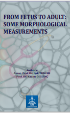 FROM FETUS TO ADULT: SOME MORPHOLOGICAL MEASUREMENTS