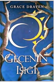 Gecenin ışığı
