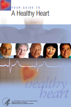 Your Guide To A Healthy Heart