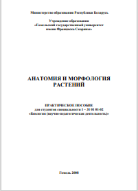 АНАТОМИЯ И МОРФОЛОГИЯ  РАСТЕНИЙ