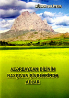 Azərbaycan dilinin Naxçıvan şivələrində adlar
