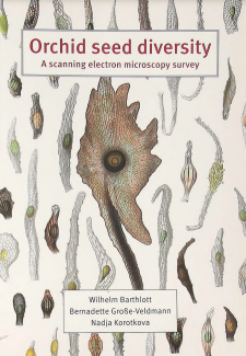 Orchid seed diversity. A scanning electron microscopy survey