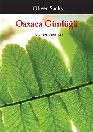 Oaxaca Günlüğü