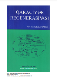 Qaraciyər regenerasiyası