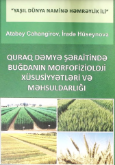 Quraq dəmyə şəraitində buğdanın morfofizioloji xüsusiyyətləri və məhsuldarlığı