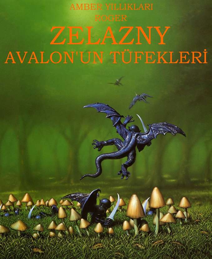 Avalon’un Tüfekleri: Amber Yıllıkları 2. Kitap.  