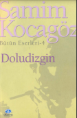 Doludizgin