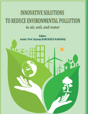 Innovative Solutions to Reduce Environmental Pollution