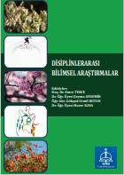 DİSİPLİNLERARASI BİLİMSEL  ARAŞTIRMALAR