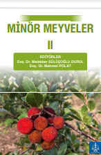 MİNÖR MEYVELER II