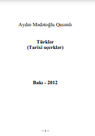 Türklər (Tarixi oçerklər)