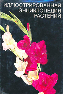 Иллюстрированная энциклопедия растений