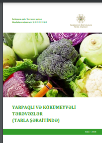 Yarpaqlı və kökümeyvəli tərəvəzlər (Tarla şəraitində)