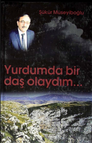 Yurdumda bir daş olaydım...